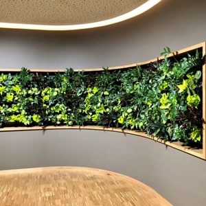 moswand-groenwand_interieurbeplanting3