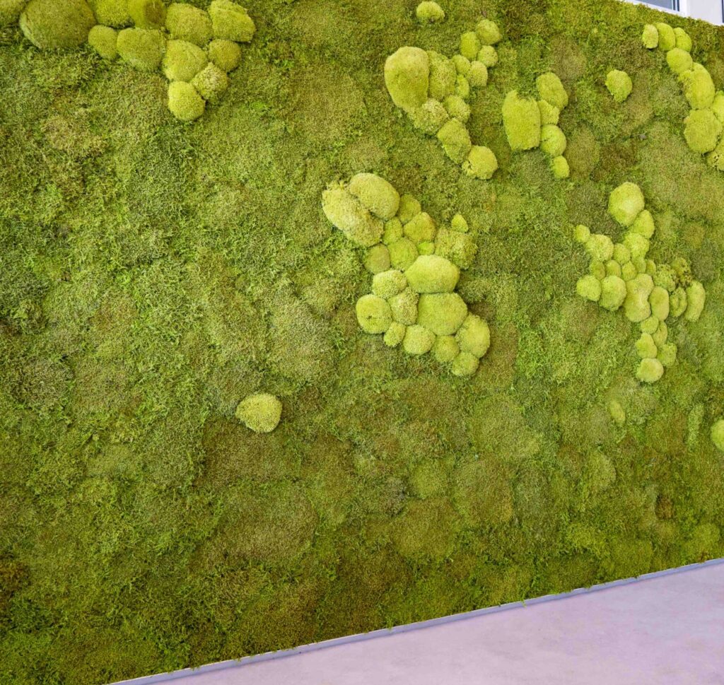 Offerte 240265 nature