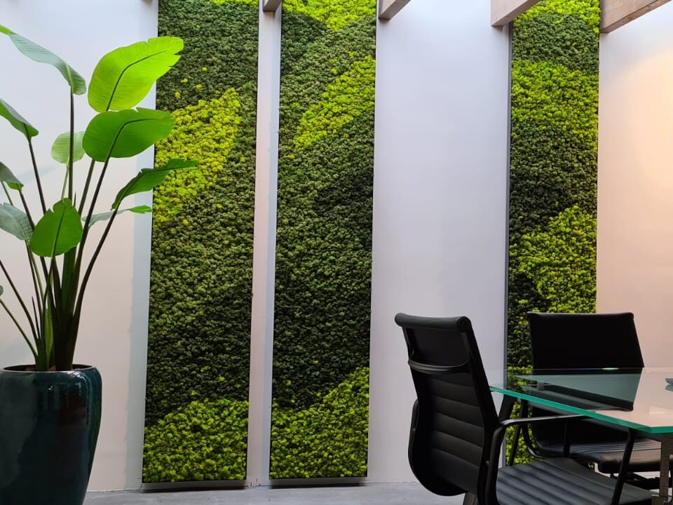 Rendiermos meedere kleuren