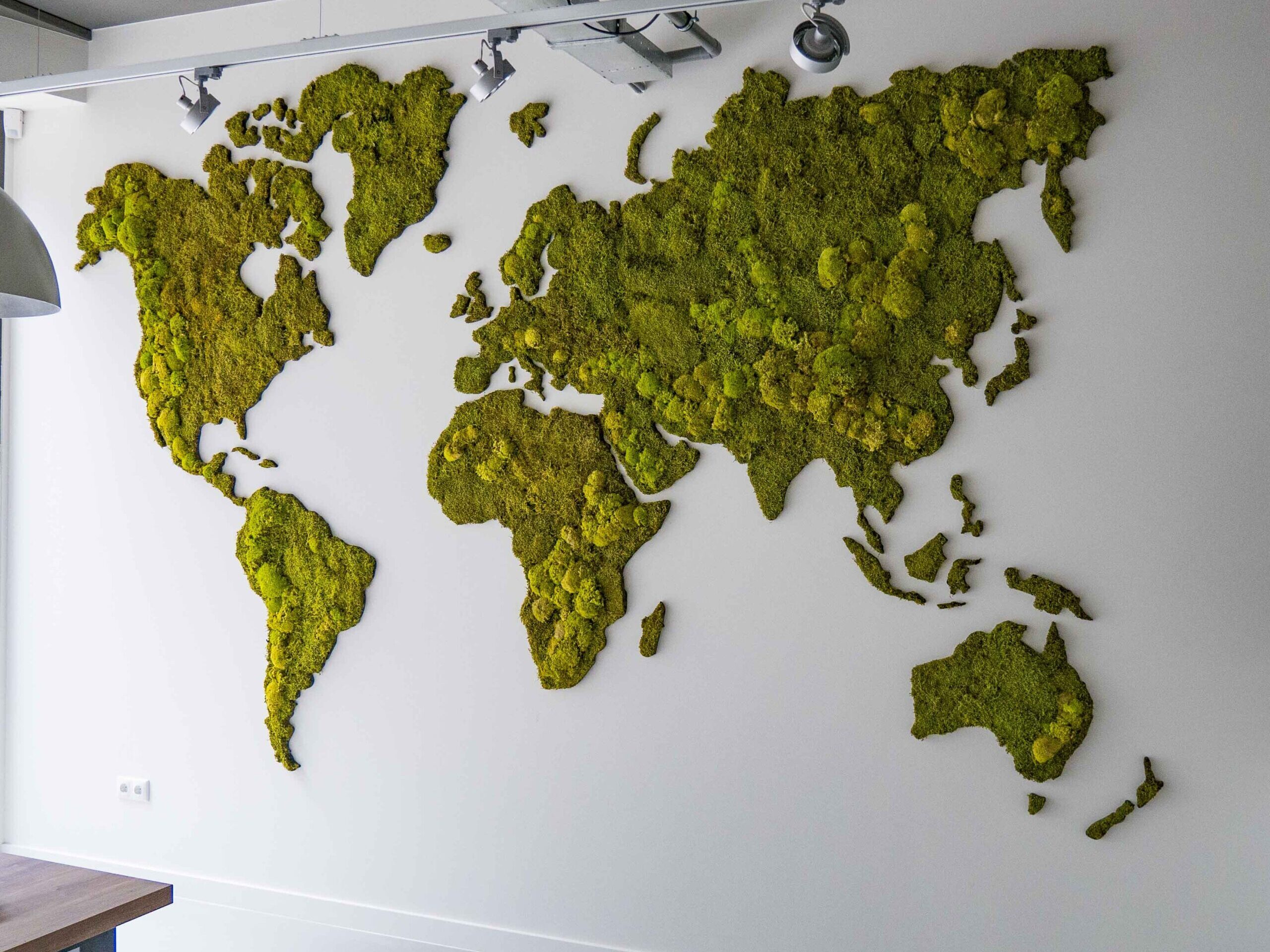 Wereldkaart groot (1 van 1)